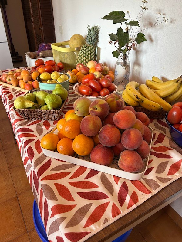 2025_Summer_5